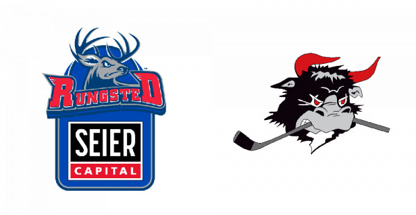 Rungsted Seier Capital vs Rødovre Mighty Bulls 29.12.19